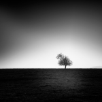 photography black and white long exposure fine art